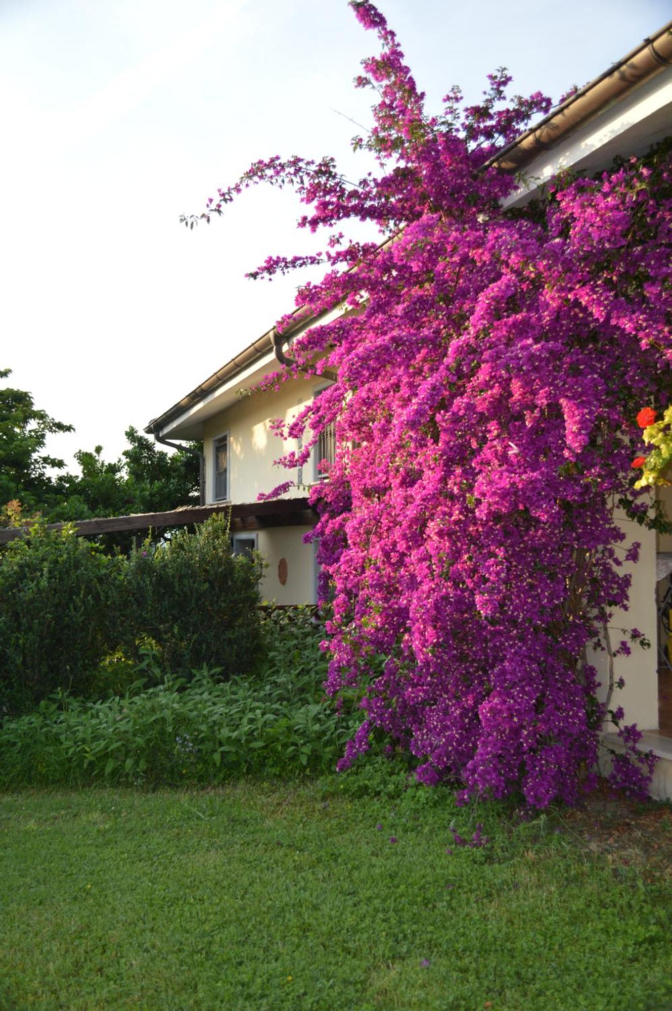 Villa Collebelvedere - Near Rome With Home Restaurant Fara in Sabina المظهر الخارجي الصورة